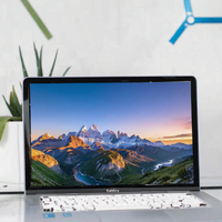 13,3-Zoll-LCD-Displaypanel MND307QS2-1 - Hochhelligkeits-TFT-Bildschirm für Laptops, Industriesteuerung und mobile Endgeräte