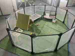 Parc pour chien en acrylique amovible Clôture pour chien 12 panneaux Portable pliable Parc pour animaux de compagnie Carton Logo personnalisé Mode Bouton respirant - Product Image 2