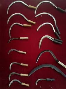 Faucille à manche en bois S202 - Product Image 5