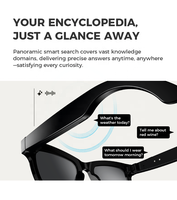 Nouvelles lunettes intelligentes à IA avec écran OLED, caméra, étanches, contrôle par application Wi-Fi, enregistrement vidéo/photo et traduction