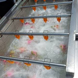 Ligne de traitement des légumes TEKFOOD, lavage et découpe du chou, laveuse à brosses pour carottes, machine de lavage et de nettoyage des tomates à vendre - Product Image 6