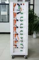 Batterie de stockage d'énergie domestique LiFePO4 empilable à large compatibilité 48V/51.2V 200Ah pour la plupart des onduleurs solaires