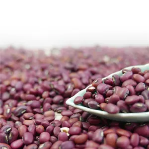 Haricots rouges de niébé Vigna Pois de vache Haricots aux yeux noirs Haricots rouges Niébé rouge