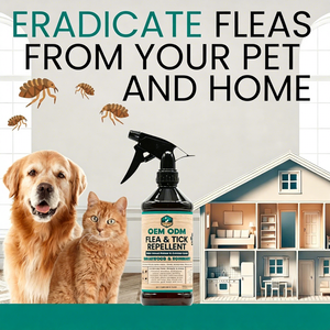 <span class=keywords><strong>Spray</strong></span> <span class=keywords><strong>anti</strong></span>-tiques et puces <span class=keywords><strong>pour</strong></span> animaux de compagnie, adapté aux chats et aux chiens - Product Image 5