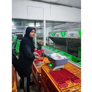 Penjualan langsung pabrik kandang kelinci wanita kandang kelinci industri untuk pertanian kelinci