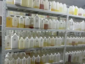 น้ำหอมพรีเมียม Luzi กวางตุ้ง น้ำมันหอมระเหยเข้มข้น น้ำมันหอมจากพืช สารสกัดจากธรรมชาติ กลิ่นและน้ำหอมจากธรรมชาติ ขายส่ง - Product Image 2