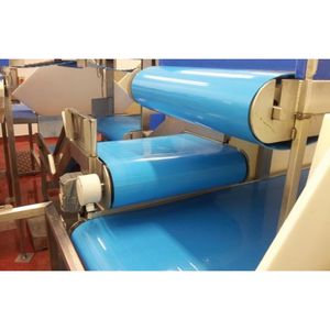 Gıda sınıfı konveyör kemer - Product Image 1