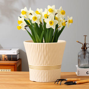 Pots à fleurs en céramique de grand diamètre, style moderne, écologiques, pour usage domestique, adaptés aux plantes en pot telles que les arbres à monnaie, les pothos, les clivia. - Product Image 4