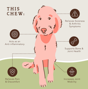 מותג פרטי כלבי לועס משותף טיפול כלבים תוספי עבור במפרק ירך פיתוח ובריאות - Product Image 5
