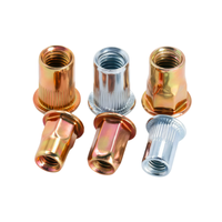 Rivet Nut Baja Lapis Seng Kuning Grosir DIN 983 Tahan Korosi M3 M12 Logo Kustom Pabrik OEM ODM
