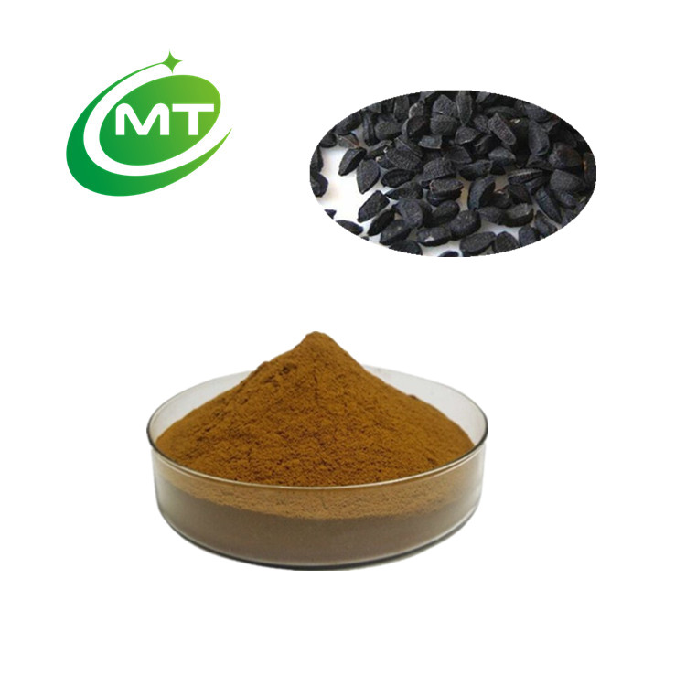 Natural good water soluble 10:1 Black Cumin Extract powder Nigella sativa L