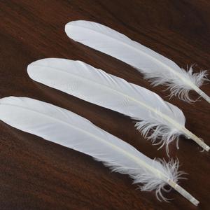 Rửa mô hình vịt cong lông Trắng Cầu Lông Ngỗng lông cầu lông nhà máy bán hàng trực tiếp - Product Image 2