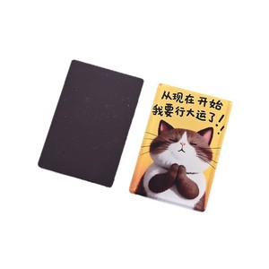 Liyin Custom Acrylic <b>Fridge</b> Magnets Cartoon Cat Design Personalized Gift Creative Souvenir - Product Image 1