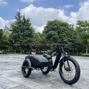 2025 <span class=keywords><strong>E</strong></span> <span class=keywords><strong>Bike</strong></span> <span class=keywords><strong>SideCar</strong></span> adulto triciclo eléctrico bicicleta 3 ruedas 750W batería de litio oculta Etrike <span class=keywords><strong>Sidecar</strong></span> de China - Product Image 1