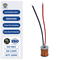 Bobina de sensor de válvula solenoide de suministro directo de fábrica personalizada, bobina de inducción, núcleo de tambor, bobina de choque, bobina de plástico