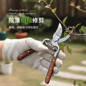 Tijeras de podar de alta calidad 6165 de acero al carbono con cabeza recta para árboles frutales, recorte de flores y herramientas de jardinería - Product Image 2