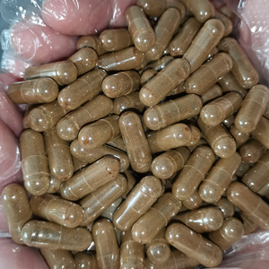 Grosir distributor suplemen kapsul ekstrak bawang putih hitam kapsul bawang putih hitam untuk pencernaan & kekebalan tubuh - Product Image 5