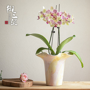Vaso per Fiori in Ceramica Creativo a Tre Colori, Stile Moderno Minimalista di Lusso per Composizioni Floreali - Product Image 5