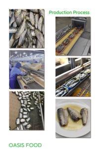 <span class=keywords><strong>Sardinas</strong></span> <span class=keywords><strong>de</strong></span> pescado <span class=keywords><strong>de</strong></span> marisco <span class=keywords><strong>en</strong></span> conserva <span class=keywords><strong>en</strong></span> <span class=keywords><strong>aceite</strong></span> vegetal/<span class=keywords><strong>aceite</strong></span> <span class=keywords><strong>de</strong></span> <span class=keywords><strong>girasol</strong></span> 125G - Product Image 4