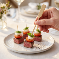 ECO BAMBOO – Nouveaux pics à brochettes en bambou de haute qualité pour barbecue, style long manche, pour camping et extérieur, ensemble d'outils de barbecue