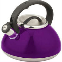 Bouilloire sifflante en acier inoxydable 201 de 3 litres avec fond à induction unique et poignée en bakélite pour la maison ou les voyages