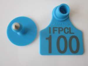 Granja managnement diferentes colores animal en blanco Etiqueta de oreja crotales para ganado de vaca - Product Image 2