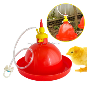 ZZ LM68 Automático Plástico Rojo Aves de Corral Broiler Gallina Capa Campana Bebedero <span class=keywords><strong>para</strong></span> Gallinero - Product Image 1
