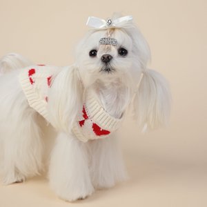 <span class=keywords><strong>Pull</strong></span> en tricot blanc crème pour chien avec motif cœur rouge, doux et chaud, vêtements pour animaux <span class=keywords><strong>de</strong></span> compagnie pour petits chiens - Product Image 3
