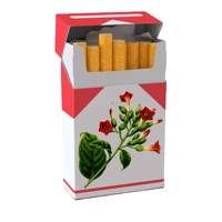 Boîtes à cigarettes vides, emballages pour cigares, cartouches, emballages de cigarettes, cartons de tabac, boîtes à cigarettes vides personnalisées en papier B1