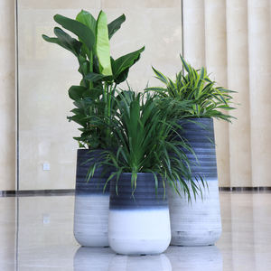 Leizisure, macetas duraderas de gama alta, macetas grandes de plástico para plantas al aire libre, macetas redondas altas cónicas con estilo Para Plantas - Product Image 3