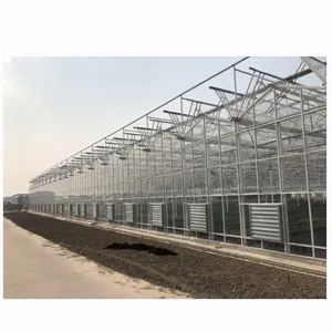 Maisons de légumes préfabriquées Tunnel système hydroponique bon marché et serre de jardin agricole intelligente en acier de verre