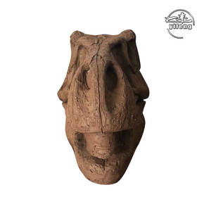 Répliques de squelette grandeur nature modèle squelette de dinosaure os de dinosaure pour musée - Product Image 4