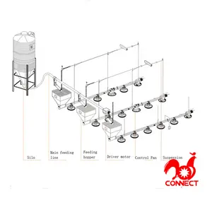 Poultry Farming Equipment 2021 Top Sales Factory Price Fully Automatic Broiler Chicken House Feeder Equipment For Poultry Farm