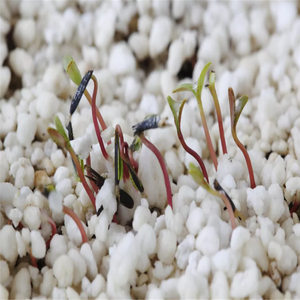 <span class=keywords><strong>Perlita</strong></span> Expandida de Grado Hortícola de 3-6 mm para el Crecimiento de Plantas, Aireación y Drenaje del Suelo - Product Image 2