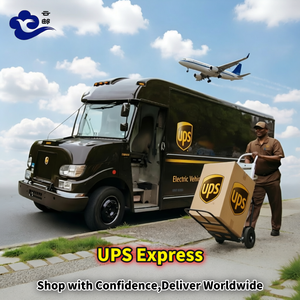Agente de Carga de China a Estados Unidos y Canadá, Envío Exprés DHL FedEx UPS - Product Image 5