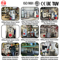 Chaudière à vapeur à gaz basse pression à tube vertical de 100 kg à 700 kg/h avec génération rapide de vapeur pour autoclave