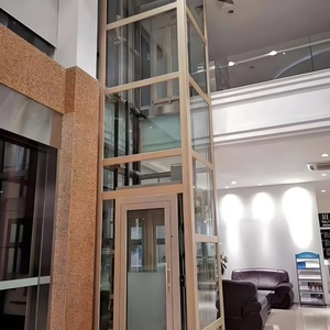 Vente <span class=keywords><strong>d</strong></span>'usine, bon prix, mini ascenseur électrique pour passagers, ascenseur panoramique, ascenseur de villa, sans engrenage, AC, PVC, avec/sans - Product Image 1
