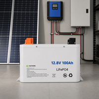 Batería de Litio de Ciclo Profundo Arcane Surge WKC-F06-1280 12.8V 100Ah LiFePO4 1.28kWh, 4000 Ciclos, para Almacenamiento de Energía Solar RV, 12.5kg