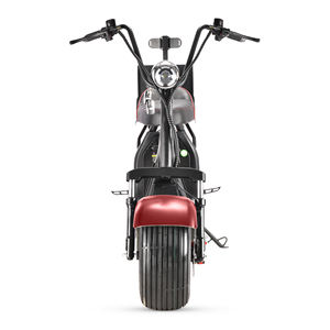 Scooter électrique Loyal, Vélo électrique, Motocyclettes, Scooter électrique Citycoco, Chariot de golf, Scooters de golf, Citycoco 2000W - Product Image 6