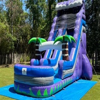 Toboggans aquatiques gonflables en PVC pour l'extérieur, avec piscine à jets d'eau, grande capacité, location pour événements, pour les grands groupes et les enfants