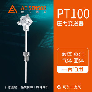 Sensor de Temperatura AE-PT100, PT100 4-20mA, Rosca M20*1.5, -200 a 500 Grados Celsius - Product Image 2
