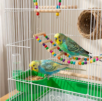 Cage à oiseaux de luxe moderne et décorative pour l'intérieur, avec design anti-évasion, transportable en voiture, idéale pour les canaris