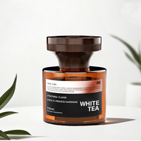 Diffuseur d'air pour voiture Mescente 2026, bouteille en verre, bois, mini, thé blanc premium