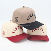 Gorra de Béisbol de Alta Calidad, Estilo Dad Hat, con 5 Paneles, de Algodón, con Logotipo Bordado en 3D, Personalizada por Fábrica con Certificación BSCI