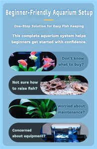 Kit <span class=keywords><strong>Acquario</strong></span> da Scrivania in Vetro Ultra-Trasparente con Filtro, Luce LED, Ecologico, a Risparmio Energetico, Adatto ai Principianti, Tutto in Uno - Product Image 2