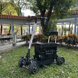 2000W çift motorlu lityum pil 4 tekerlekli tepsi araba elektrikli Scooter elektrikli balıkçılık arabaları arka kamyon kargo EBike - Product Image 1