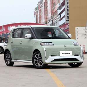 ORA ad alta velocità Mini auto elettrica bianco Cat <span class=keywords><strong>Ev</strong></span> 5 porte 4 posti per adulti prezzo di fabbrica nuova energia veicolo di seconda mano disponibile - Product Image 3