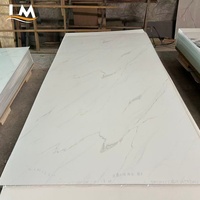 Panneaux à lattes en PVC haute résistance - Absorption acoustique durable pour les gymnases et les écoles |   Traitement acoustique décoratif résistant à l'usure