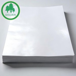 Rouleau de papier de qualité supérieure à haute résistance à l'humidité pour l'emballage alimentaire, haute résistance à l'eau - Product Image 4