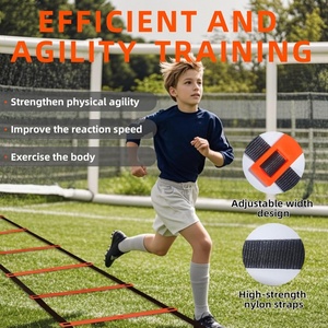 Échelle d'agilité idéale pour l'entraînement de la vitesse, enfants, jeunes, adultes, football, basketball, équipement de fitness multisports, ensemble d'entraînement - Product Image 3